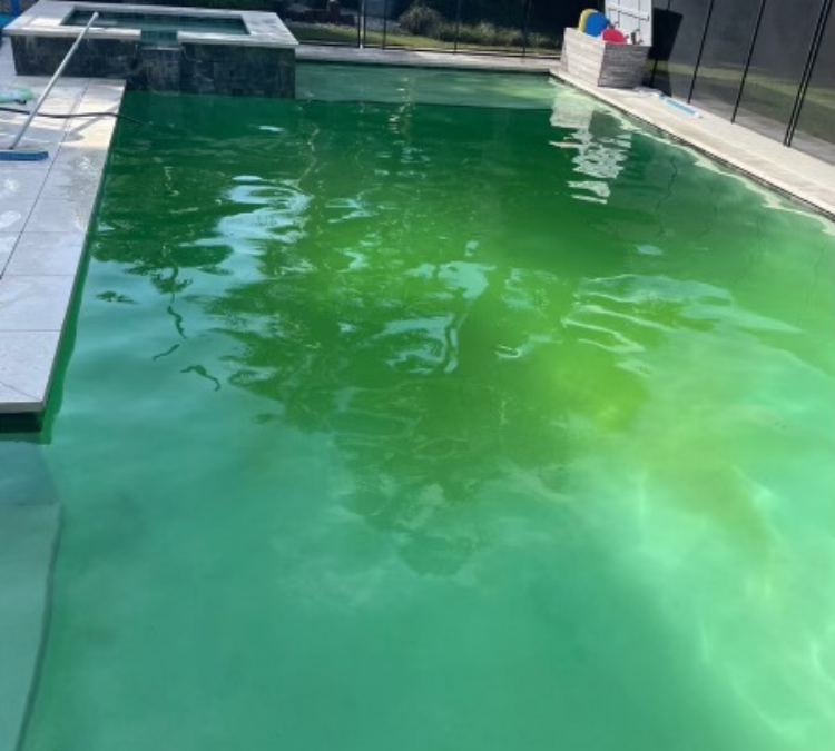 How to Remove Pool Algae
