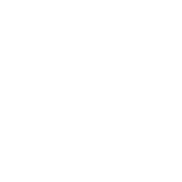 stability (1)